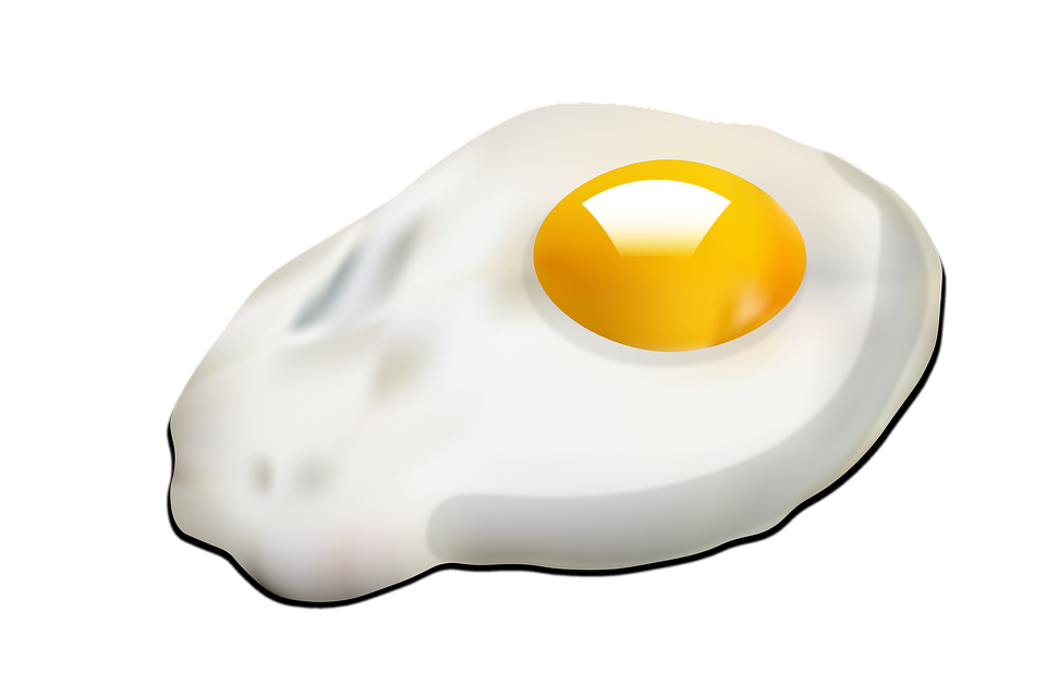 egg