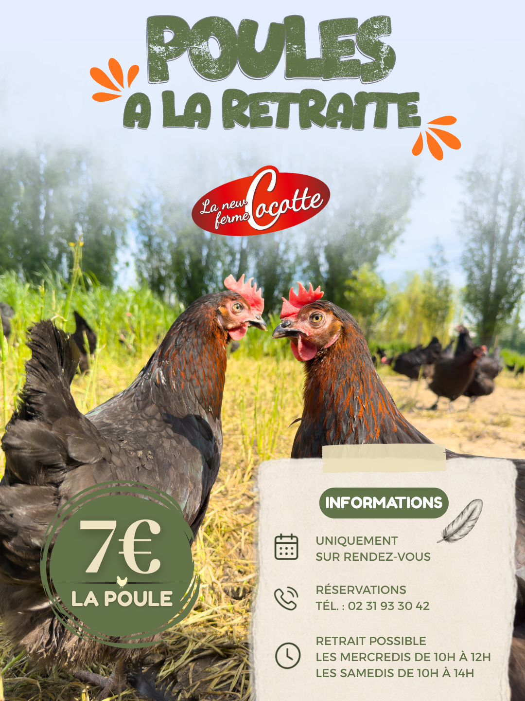 Poule a la retraite